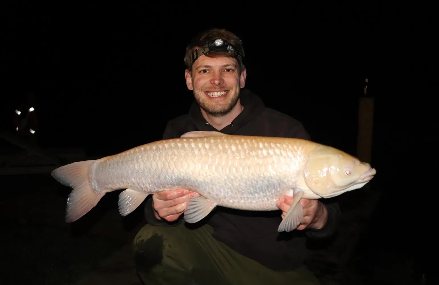 074a3583-adda-464e-b3b1-dd4318cd7f8e