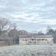 IG_18035896528654438