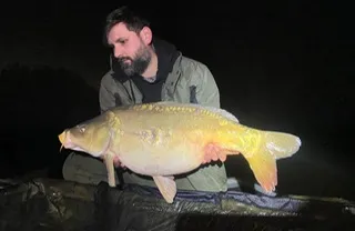 4399a273-fbf6-46b8-a96f-e731c71d8bc7