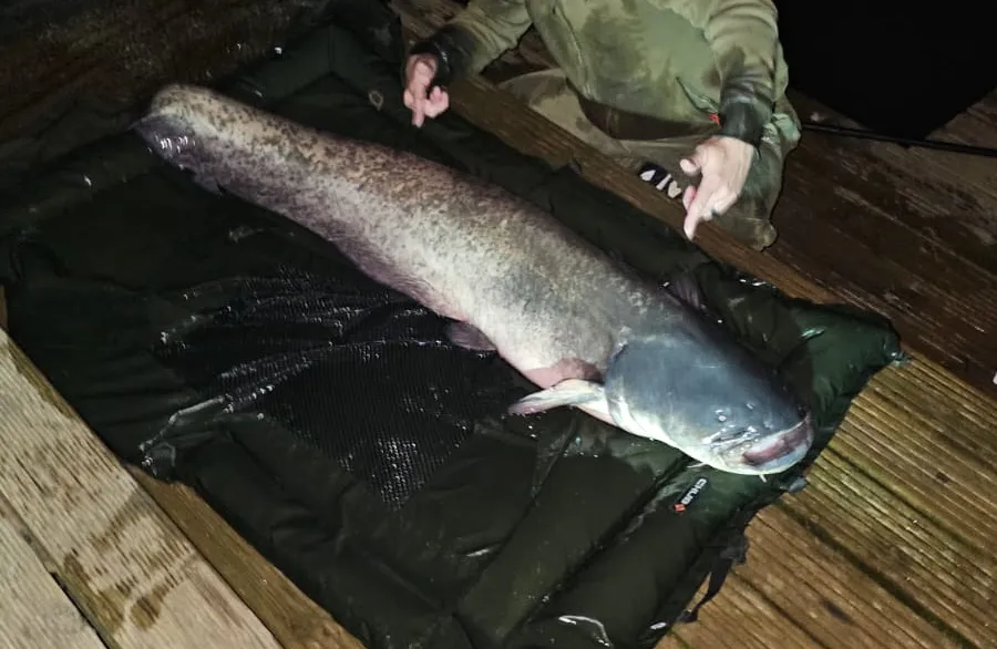 48f29ef8-2871-4403-96ab-8572904c7c44