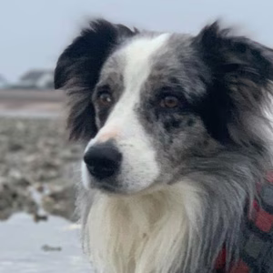 PHOTO-2020-01-02-22-02-48-6