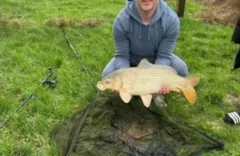 bbacd878-3046-4d61-ab06-d477d295555f